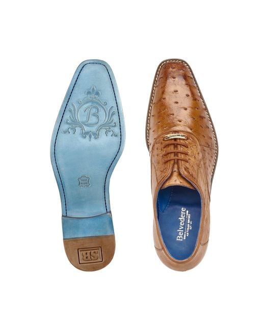 Belvedere Orlando D01 Shoes Peanut Genuine Ostrich Formal Oxfords