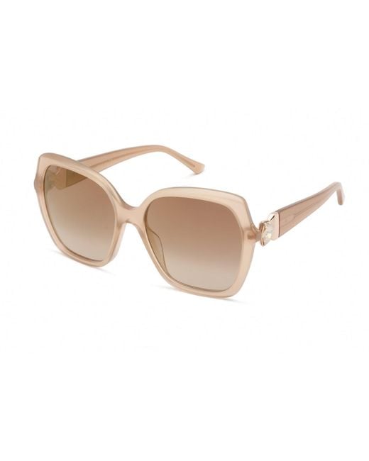 Jimmy Choo Manon/g/s Sunglasses Brown / Brown Ss Gold | Lyst