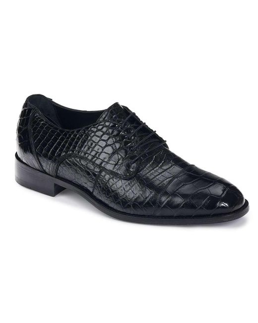 Mauri Designer Shoes Exotic Skin Baby Alligator Oxfords 4896 (ma4917) in  Black for Men | Lyst