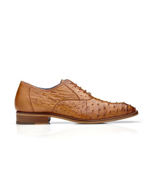 Belvedere Orlando D01 Shoes Peanut Genuine Ostrich Formal Oxfords