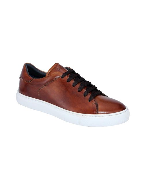 DUCA® Monza Shoes Brandy Calf-skin Leather Casual Sneakers (d4994) in Brown  for Men | Lyst UK