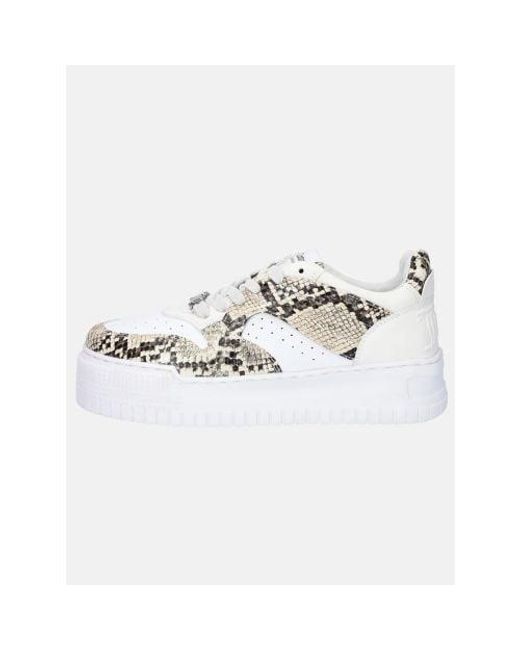 Juicy Couture White Sugar Swizzle Brooke Colourblock Trainer