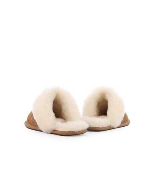 Ugg Brown Chestnut Scuffette Ii Slipper