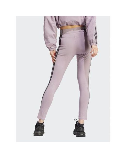 Adidas Purple Fig Future Icons 3-Stripe Legging