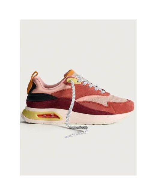 HOFF Red Maracana Skyline Trainer