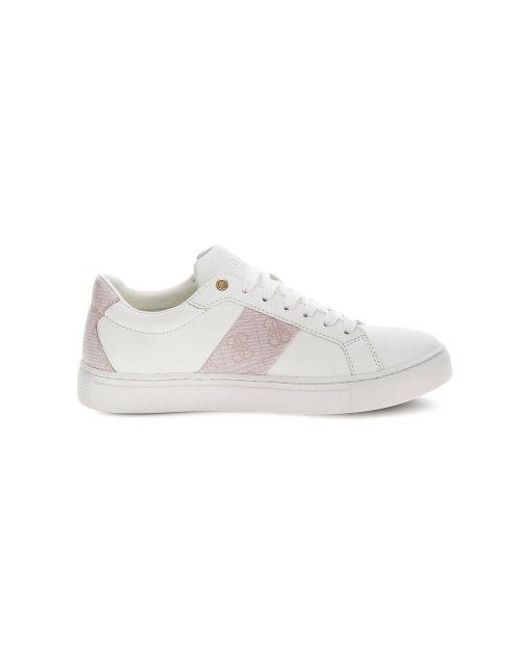 Guess White Todex Trainer