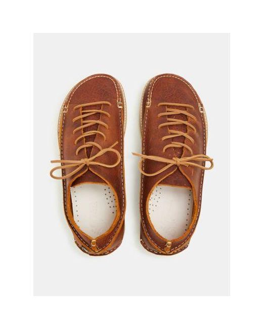 Yogi Footwear Brown Chestnut Finn 3 Shoe for men