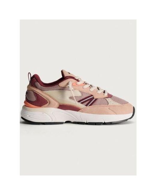 HOFF Pink Arkansas State Trainer
