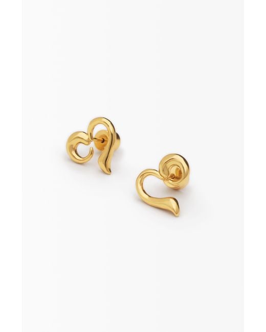 Desigual Metallic Heart Zalio Earrings