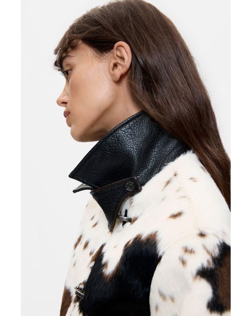 Desigual Blue Animal Print Jacket, Polyester