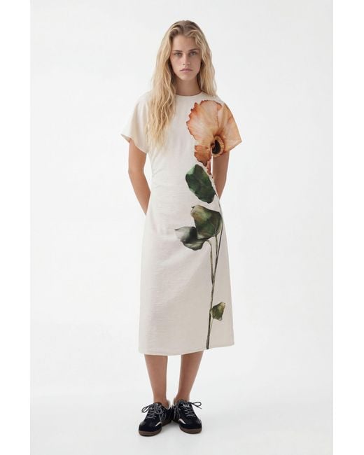 Robe Fleur, Marron Desigual en coloris White