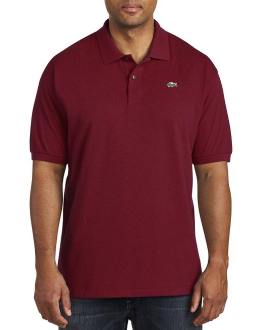 big and tall lacoste