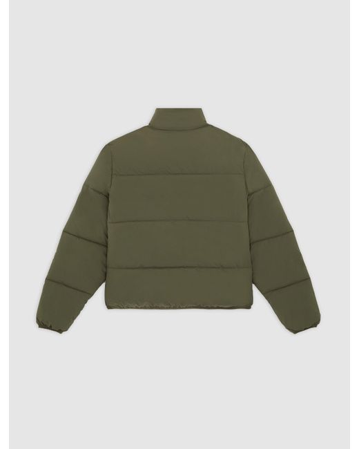 Doudoune Summerdale, Femme, Taille Dickies en coloris Green