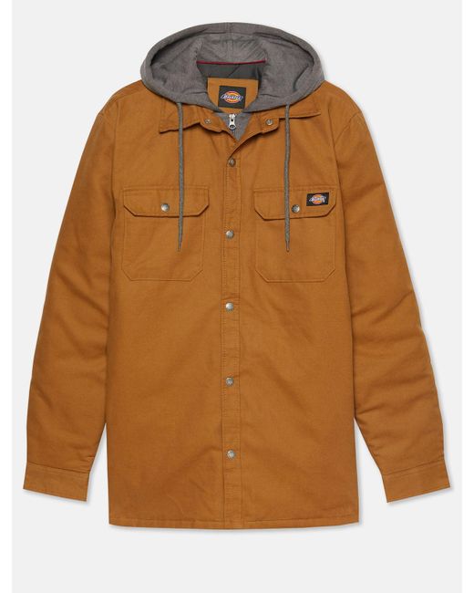Veste Chemise Duck Dickies pour homme en coloris Brown
