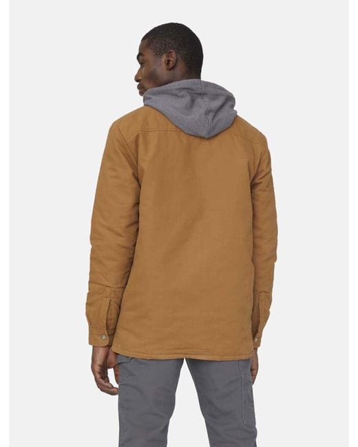 Veste Chemise Duck Dickies pour homme en coloris Brown