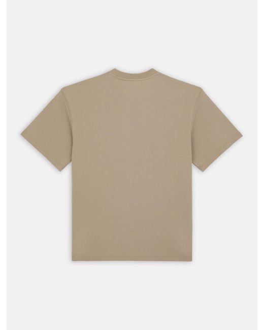 Dickies Natural Saltville Short Sleeve T-shirt for men