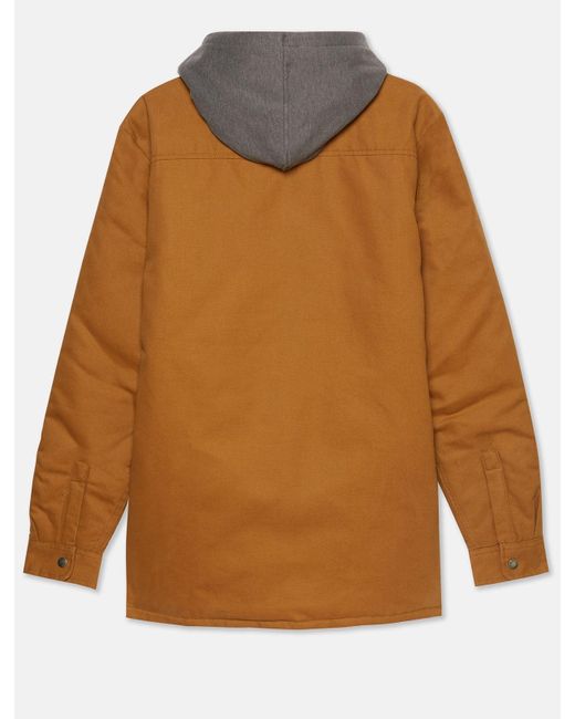 Veste Chemise Duck Dickies pour homme en coloris Brown