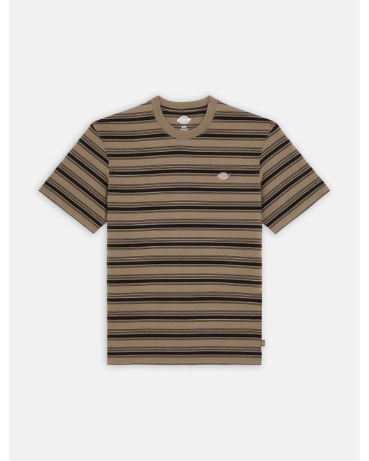 Dickies Brown Stevensville Stripe T-shirt for men