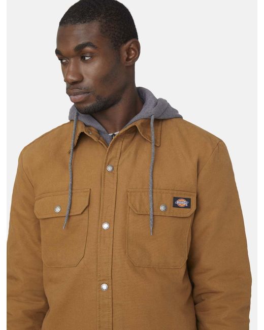 Veste Chemise Duck Dickies pour homme en coloris Brown