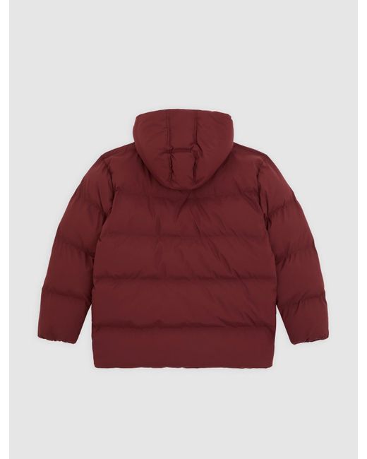 Chaqueta Acolchada Con Capucha Eagleville, Mujer, Talla Dickies de color Red