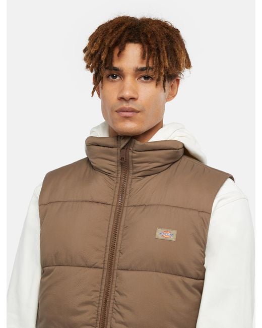 Dickies Natural Waldenburg Vest for men