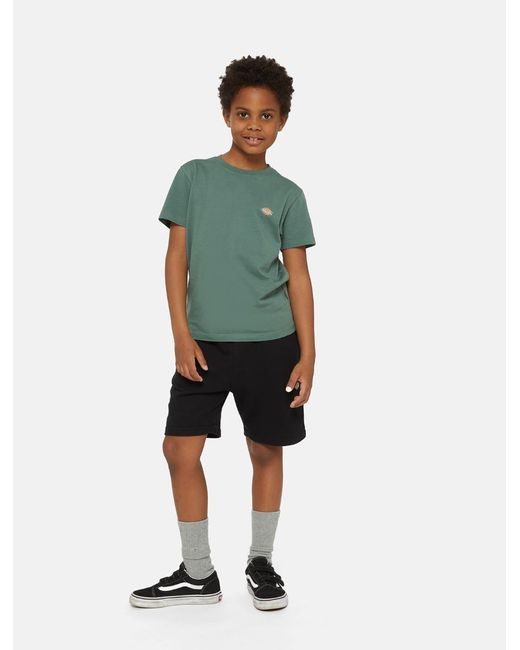 Dickies Black Mapleton Shorts Für Kinder