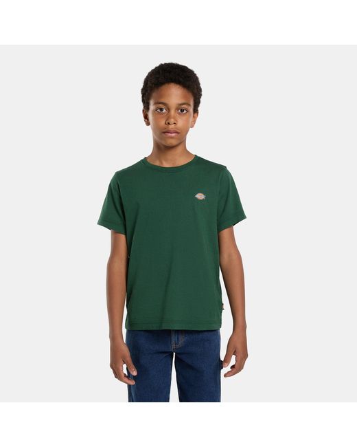T-Shirt Mapleton Pour Enfant, Taille Dickies en coloris Green