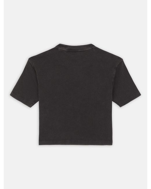 Dickies Black Plentywood T-shirt