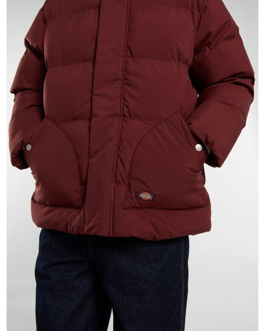 Chaqueta Acolchada Con Capucha Eagleville, Mujer, Talla Dickies de color Red