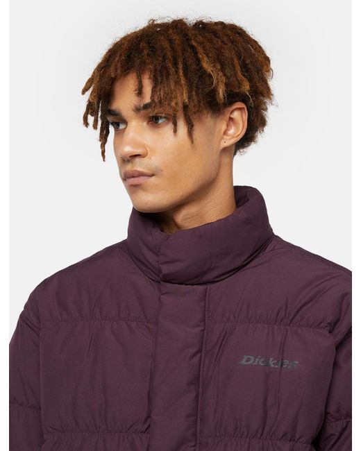 Dickies Purple Scobey Puffer Jacket for men