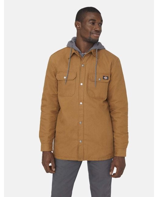 Veste Chemise Duck Dickies pour homme en coloris Brown