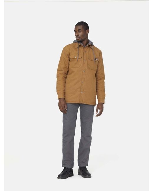Veste Chemise Duck Dickies pour homme en coloris Brown