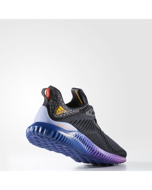 alphabounce black purple