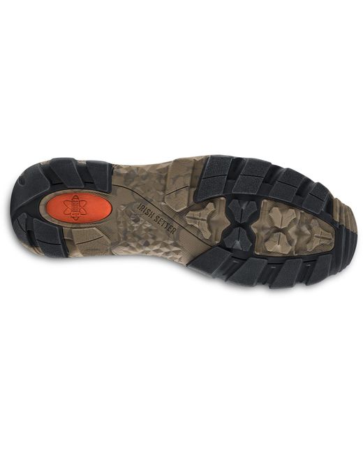 irish setter vaprtrek 8