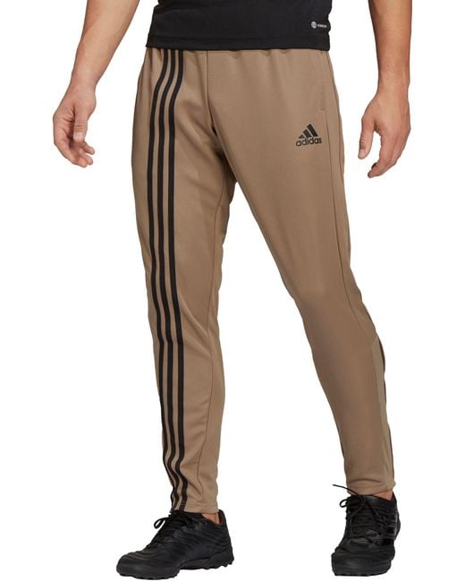 adicolor classics disrupted icon track pants