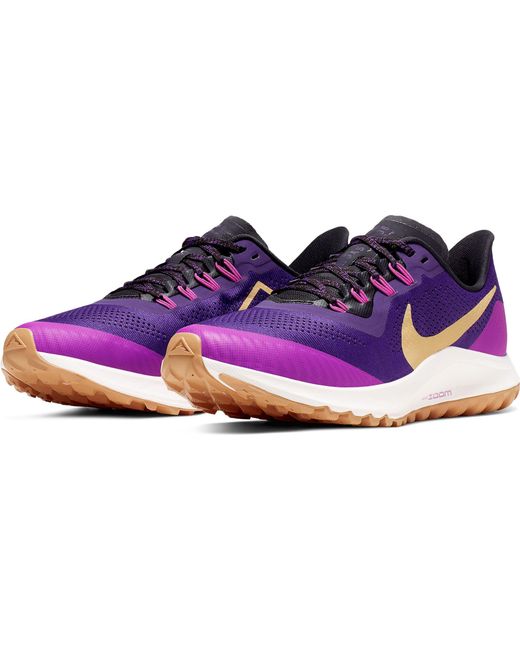 dicks sporting goods nike pegasus
