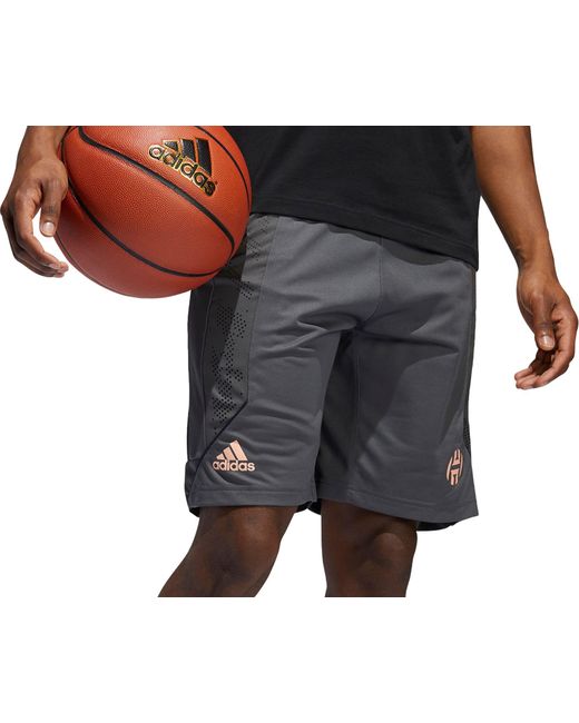 harden swagger shorts