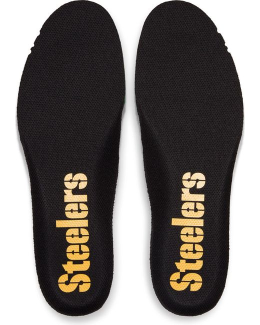 steelers pegasus