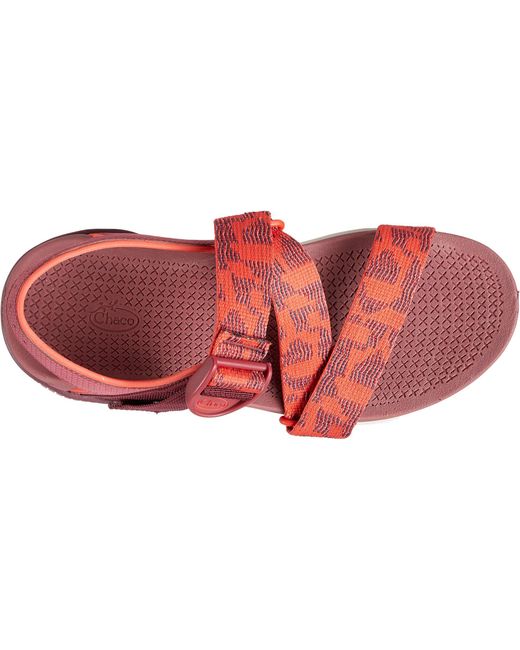 chaco confluence sandal