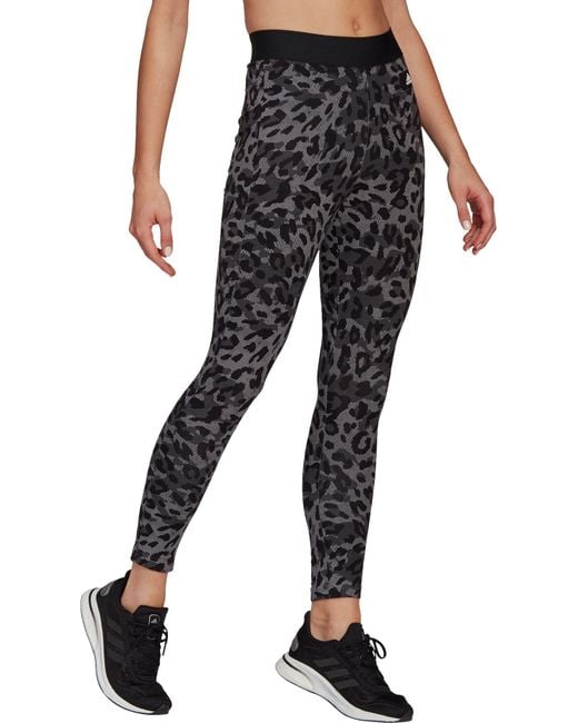 adidas Sportswear Leopardprint Cotton Leggings in Grey (Gray) Lyst