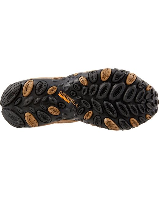merrell chameleon 3 stretch