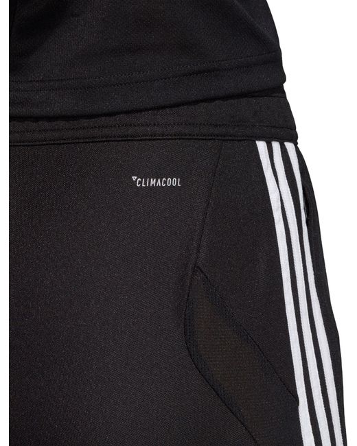 adidas tiro 19 climacool