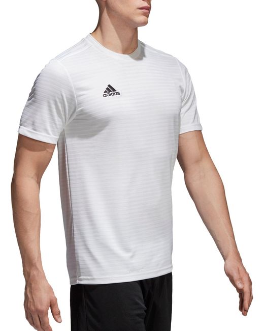 condivo 18 jersey