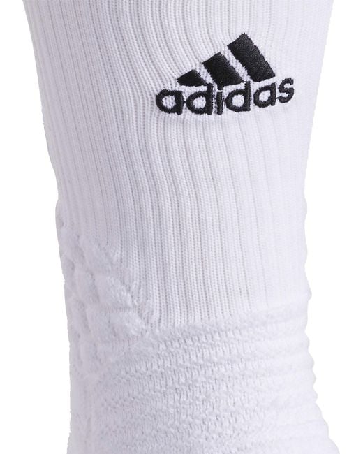creator 365 crew socks