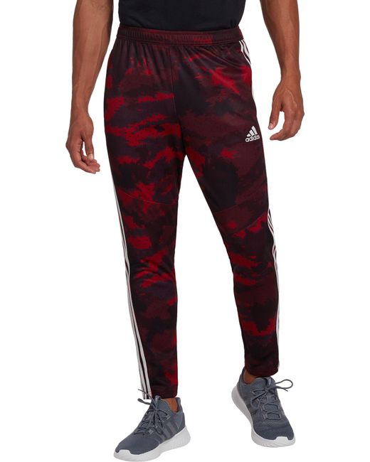 adidas Tiro 19 Camo Training Pants in Red for Men | Lyst