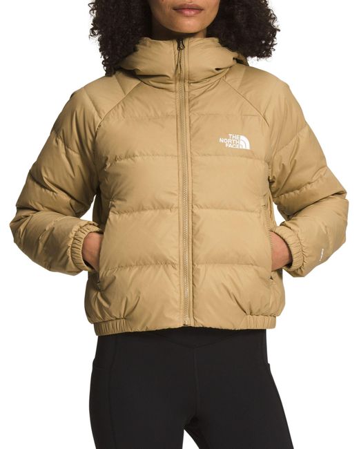 The North Face Goose Hydrenalite Down Hooded Jacket in Natural | Lyst