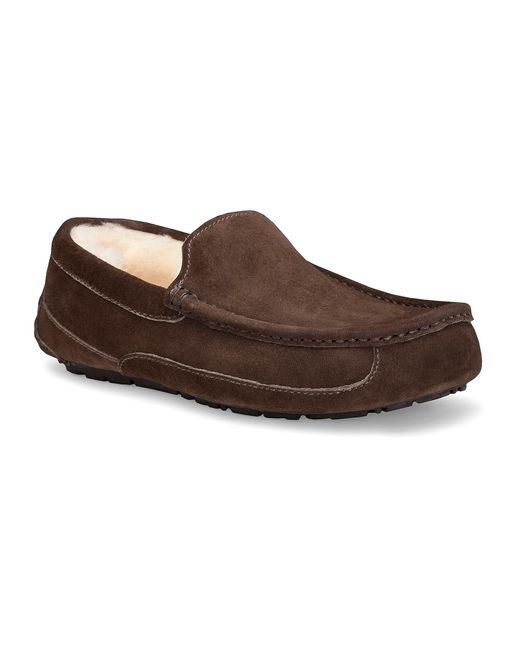 uggs ascot mens slippers ugg 174 ascot slippers in brown for lyst uggs ascot mens slippers ugg 174 ascot slippers in brown for lyst