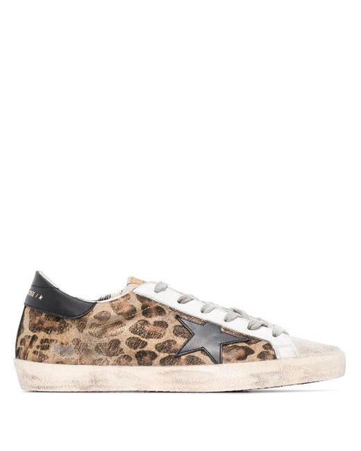 superstar leopard