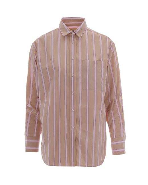 Lacoste Pink Poplin Shirt Lionne Albizia
