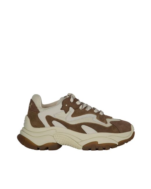 Ash Multicolor Fandango/Talc Addict Sneakers